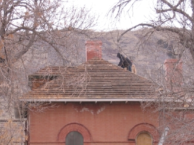 Original Roof